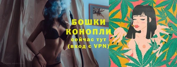 гашик Грязи