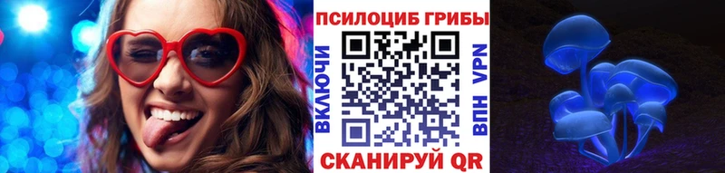 Галлюциногенные грибы MAGIC MUSHROOMS  купить наркоту  Зеленоградск 